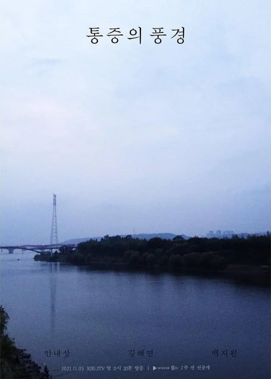 疼痛的风景海报