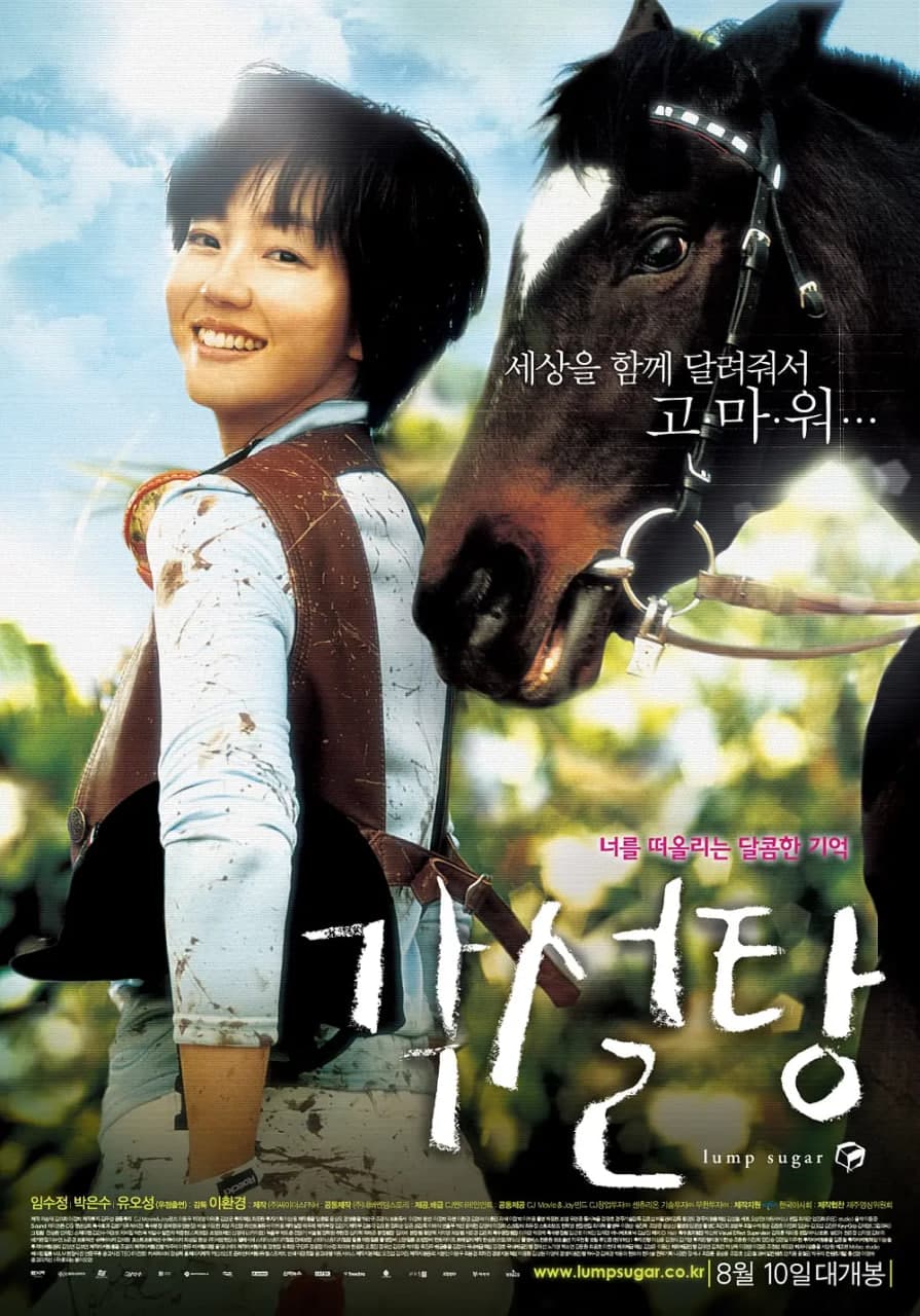 方糖 2006海报