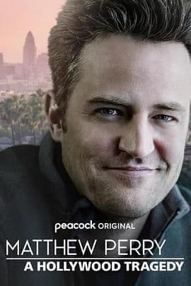 马修·派瑞:一场好莱坞的悲剧海报