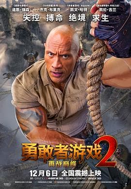 勇敢者游戏2：再战巅峰（原声版）海报