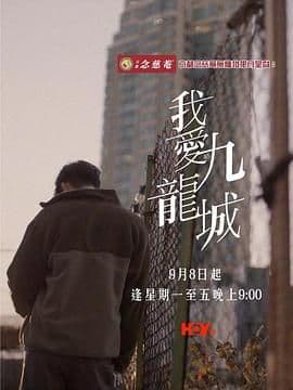 我爱九龙城海报