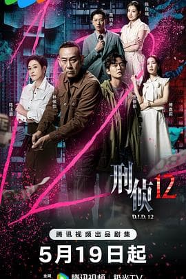 刑侦12国语海报