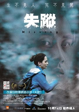 失踪国语海报