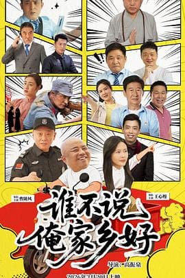 谁不说俺家乡好海报