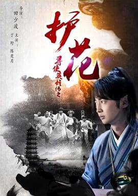 寻侠英雄传之护花海报