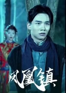 凤凰镇海报