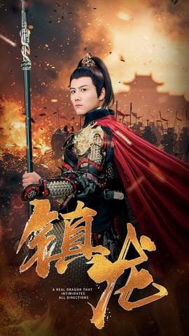 镇龙80集海报