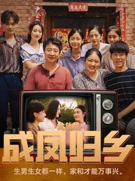 女总裁成凤归乡海报