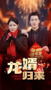 龙婿归来海报