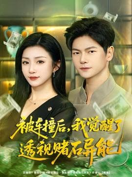 被车撞后，我觉醒了透视赌石异能海报