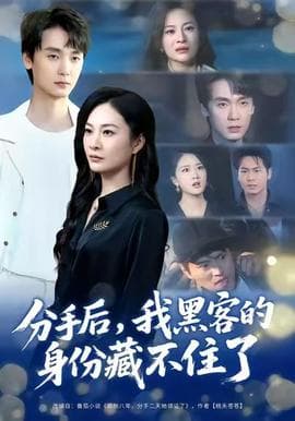 分手后，我黑客的身份藏不住了海报