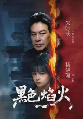 黑色焰火海报