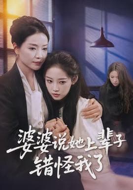 婆婆说她上辈子错怪我了海报