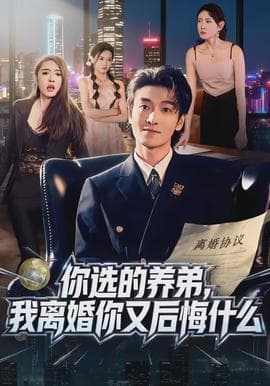 你选的养弟，我离婚你又后悔什么海报