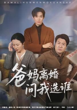 爸妈离婚问我选谁海报