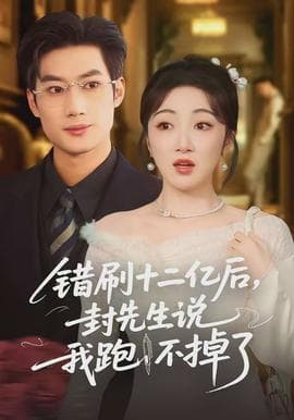 错刷十二亿后，封先生说我跑不掉了海报