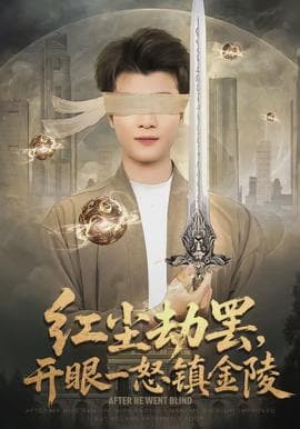 红尘劫罢，开眼一怒镇金陵海报