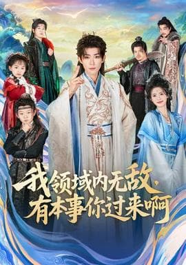 我领域内无敌，有本事你过来啊海报