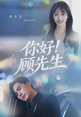 你好！顾先生海报