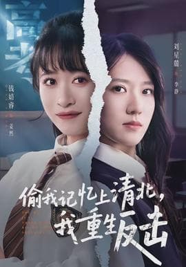 偷我记忆上清北，我重生反击海报