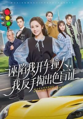诬陷我开车撞人，我反手掏出色盲证海报