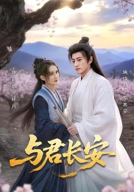 与君长安海报