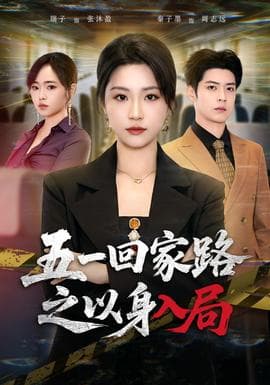 五一回家路之以身入局海报