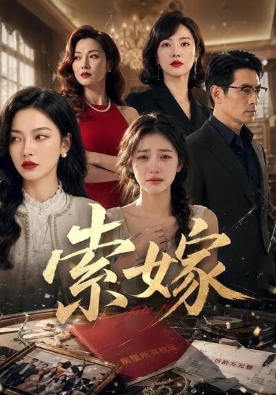 索嫁海报