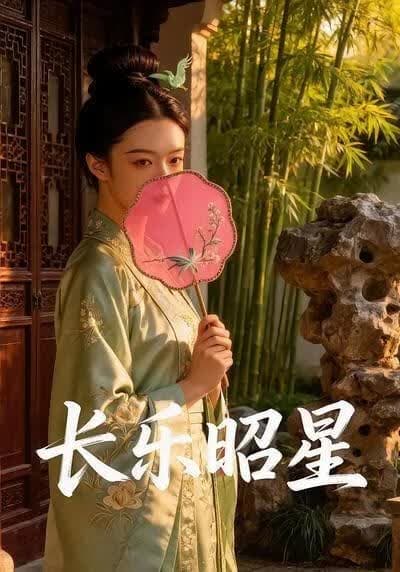 长乐昭星海报