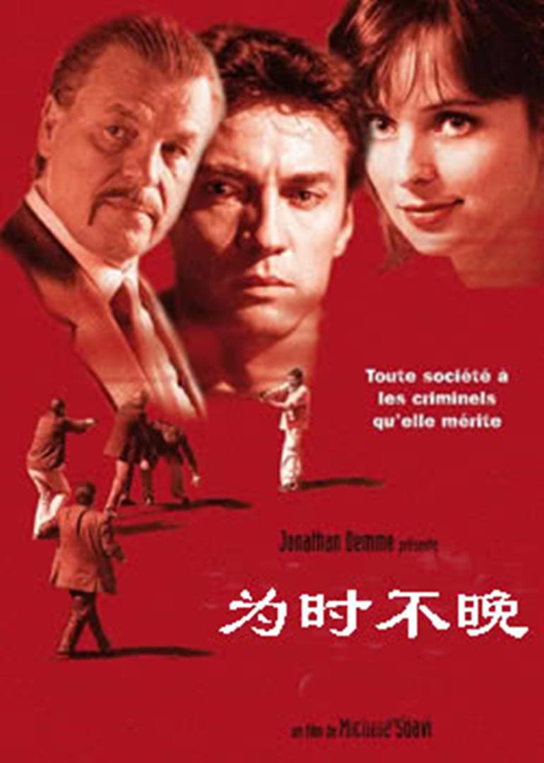 为时不晚1999海报