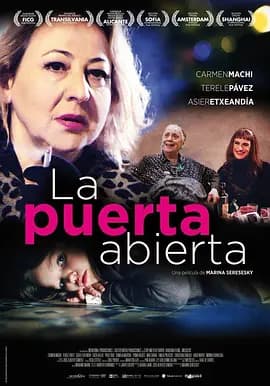 敞开的门海报