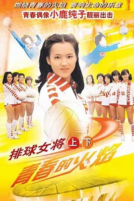 排球女将1979海报