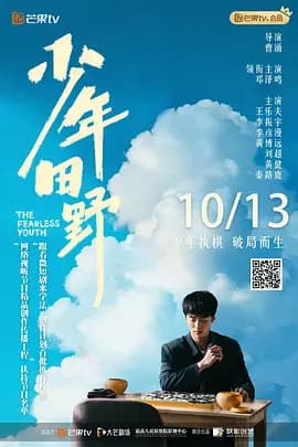 少年田野海报