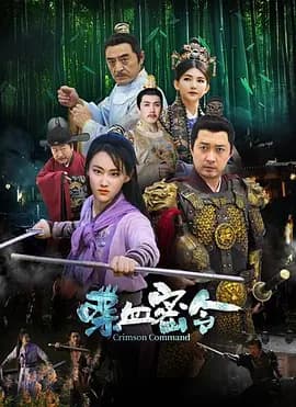 喋血密令海报