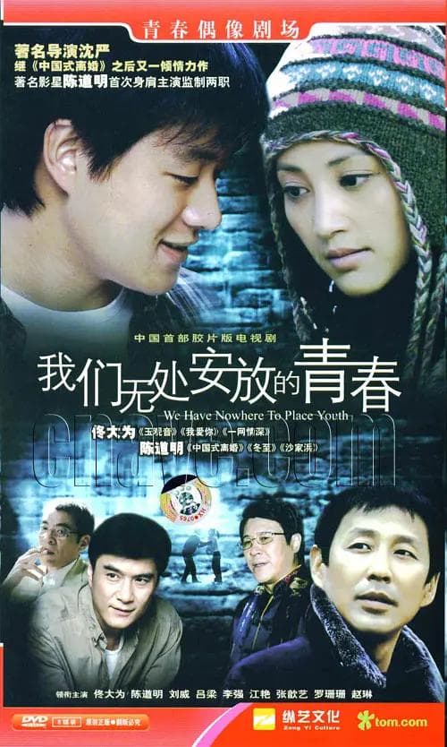 我们无处安放的青春海报