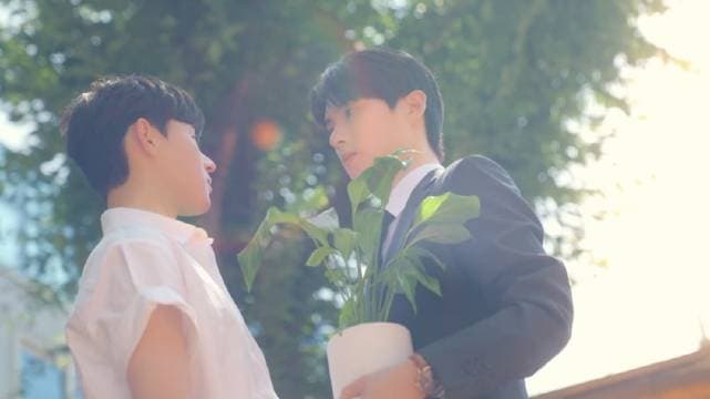 亲亲海报