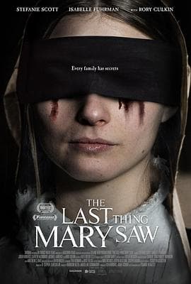 最后一眼 The Last Thing Mary Saw海报