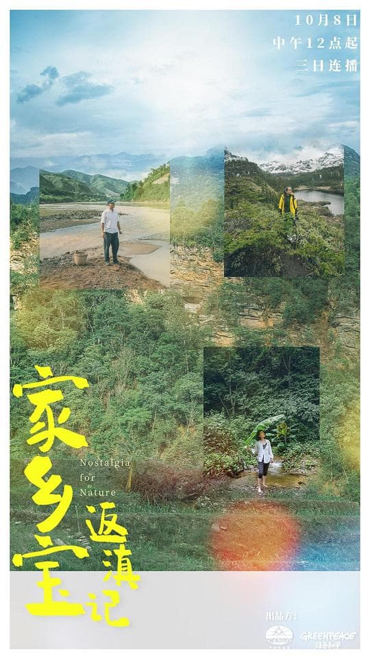 家乡宝返滇记海报