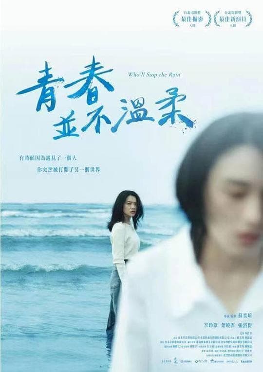 青春并不温柔海报