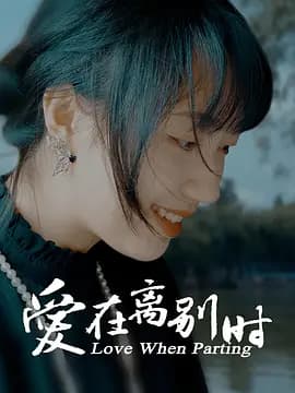 爱在离别时2024海报