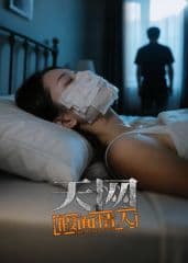 天网:假面情人海报