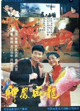 神凤威龙海报