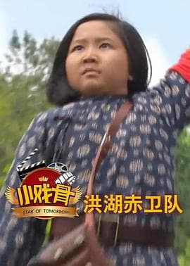 小戏骨:洪湖赤卫队海报