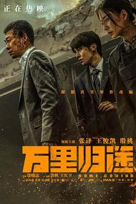 万里归途(预告片)海报