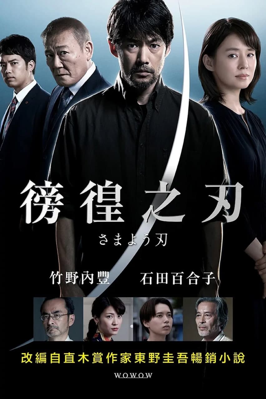 彷徨之刃海报