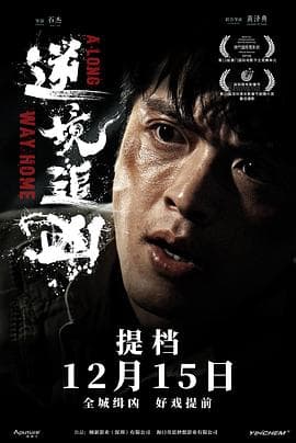 逆境追凶海报