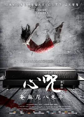 心咒2014海报