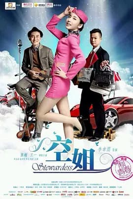 空姐2014海报