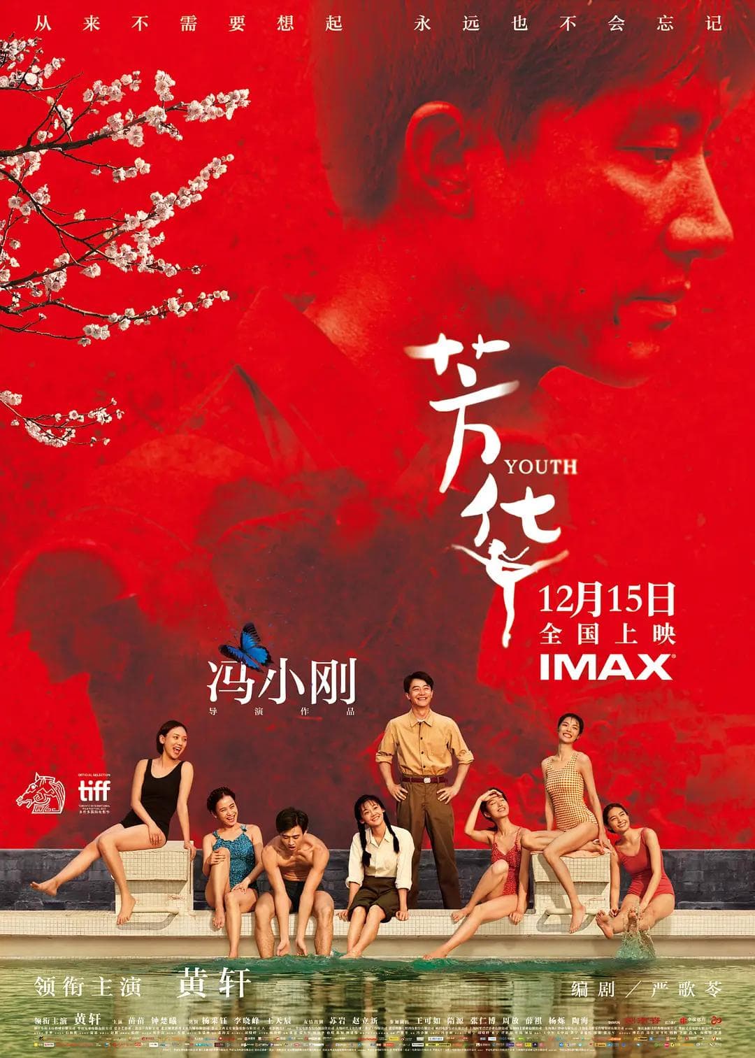 芳华2017海报