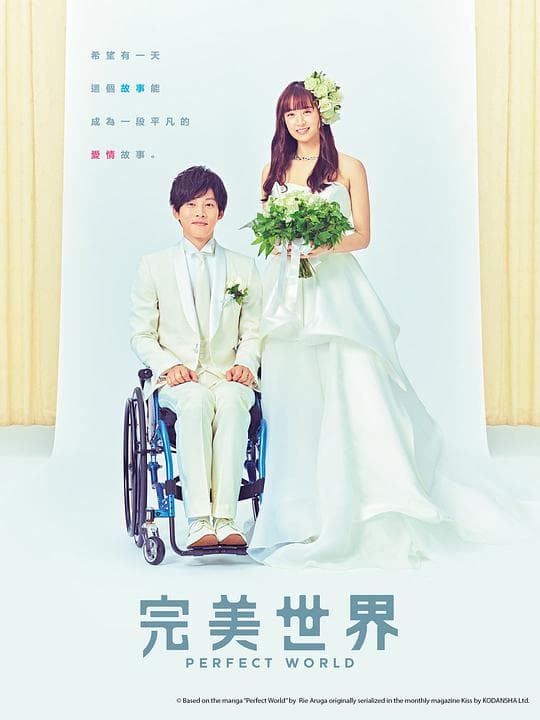 完美的世界海报